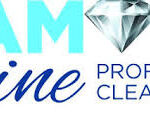 Diamond Shine Professional Cleaning